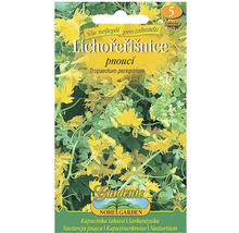 Balíček semen lichořeřišnice