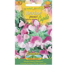 Balení semen hrachoru Cupido