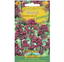 Balení semen Red Valerian
