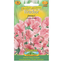 Balení semen hrachoru vonného