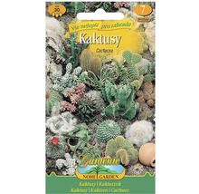 Balíček semen, směs kaktusů