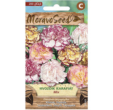 Balení semen se směsí karafiátů