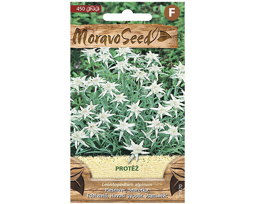 Protěž alpská bílá MoravoSeed Moravo Seed balení semen protěže alpské