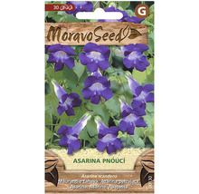 Balení semen s asarínou