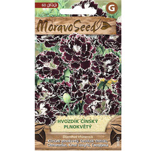 Balení semen plnokvětého hvozdíku čínského od firmy MoravoSeed