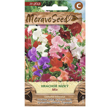 Balení semen pro hrachor nízký, mix