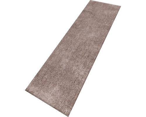 Koberec s dlouhým vlasem