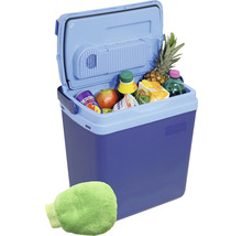 Otevřený chladicí box s potravinami a chladicí vložkou