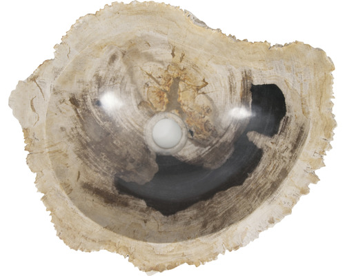 Umyvadlo z zkamenělého dřeva