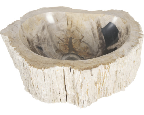 Umyvadlo z zkamenělého dřeva