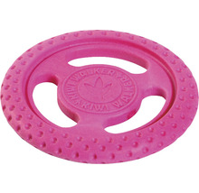 Hračka pro psy Mini Kiwi Walker