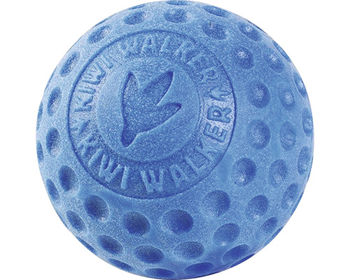 Modrý míček pro psy s výstupky a logem