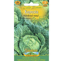 Balení semen hlávkového zelí