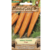 Moravo Seed Semínka pozdní mrkve Tinga