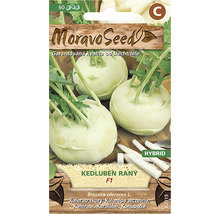 Balení semen kedlubny