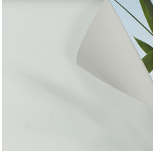 Okenní fólie s bambusovým motivem