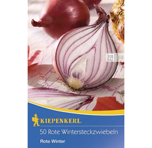 50 červených zimních sazeček cibule odrůdy Rote Winter od firmy Kiepenkerl