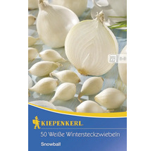 50 bílých zimních sazeček Snowball
