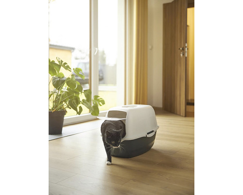 Kočka opouští toaletu pro kočky ve světlé místnosti