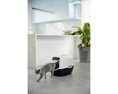 Kočka vstupuje do kočičí toalety ve světlé místnosti