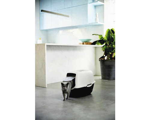 Kočka opouští kočičí toaletu ve světlé místnosti