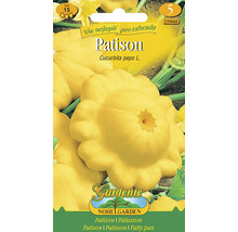 Balíček semen Patison