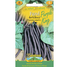 Balení semen keříčkové fazole Purple King