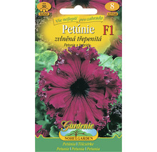 Sáček semen petúnie F1 hybrid