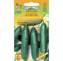 Balíček okurkových semen pro polní okurky