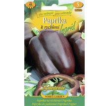 Balení semen papriky Ingrid pro zahradu
