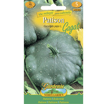 Balíček semen Patison ''Gagat''