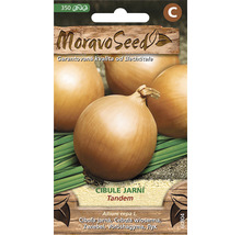 Balení semen jarní cibule