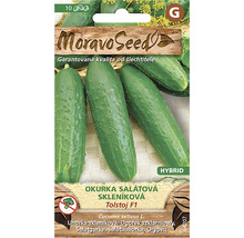 Balení semen okurky