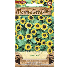 Balení semen nestařce poléhavého s logem Moravo Seed