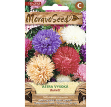 Balení semen květin Moravo Seed Astra vysoká odrůda Bukett