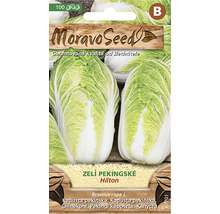 Balení semen pekingského zelí