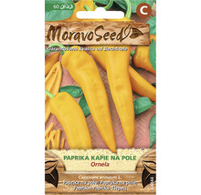 Paprika kapie na pole ORNELA MoravoSeed