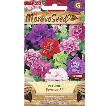 Moravo Seed Petunie Bonanza F1 balení semen s hybridními květinami
