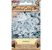 Semena starčeku v sáčcích se semeny od Moravoseed