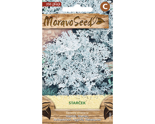 Semena starčeku v sáčcích se semeny od Moravoseed