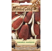 Balení semen jahodové kukuřice