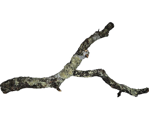 Terarijní dekorace korková větev 90 cm