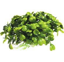 Umělá akvarijní rostlina s malými listy