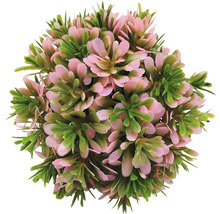 Umělá koule ze zimostrázu s růžovými a zelenými listy