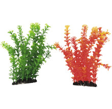 Dekorativní akvarijní rostliny, dva kusy