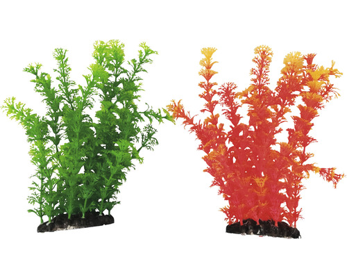 Dekorativní akvarijní rostliny, dva kusy
