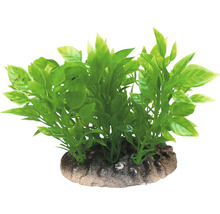 Umělá akvarijní rostlina se zelenými listy na kamenném podstavci
