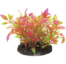 Dekorativní akvarijní rostlina na kamenném podstavci