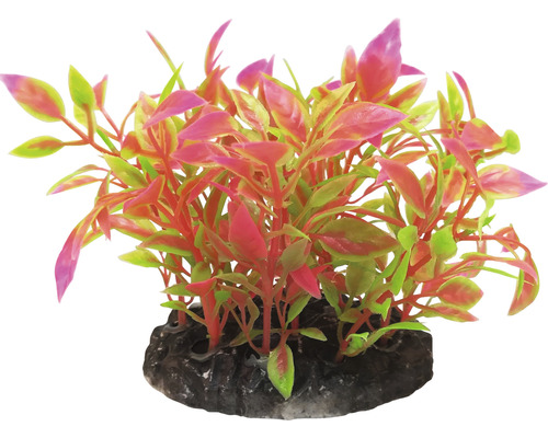 Dekorativní akvarijní rostlina na kamenném podstavci