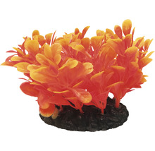 Dekorativní akvarijní rostlina s kamennou základnou